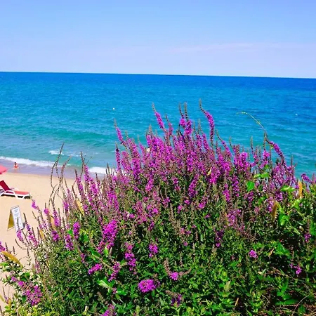 Apartment Byala Vista D - виста бийч апартментс д *