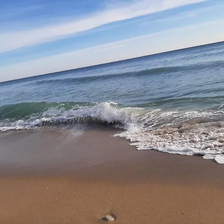 Byala Vista D - виста бийч апартментс д Apartment *