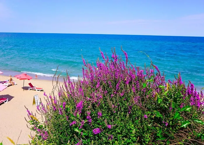 Апартамент Byala Vista D - виста бийч апартментс д *